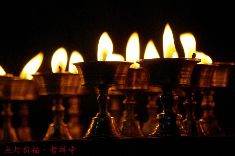 点灯祈福·哲蚌寺
