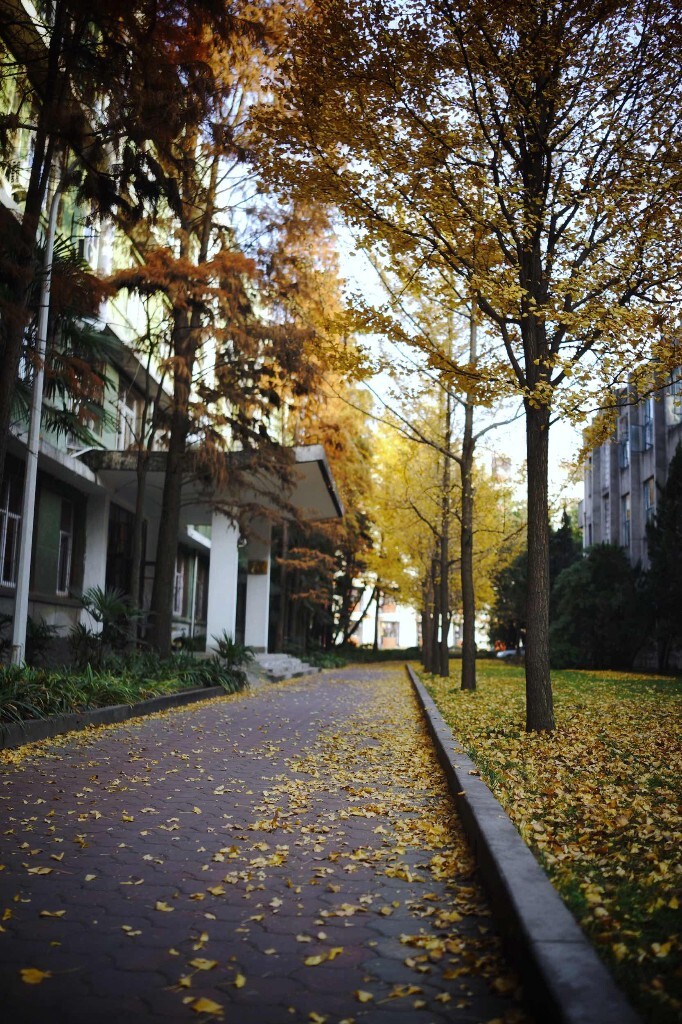 西华大学