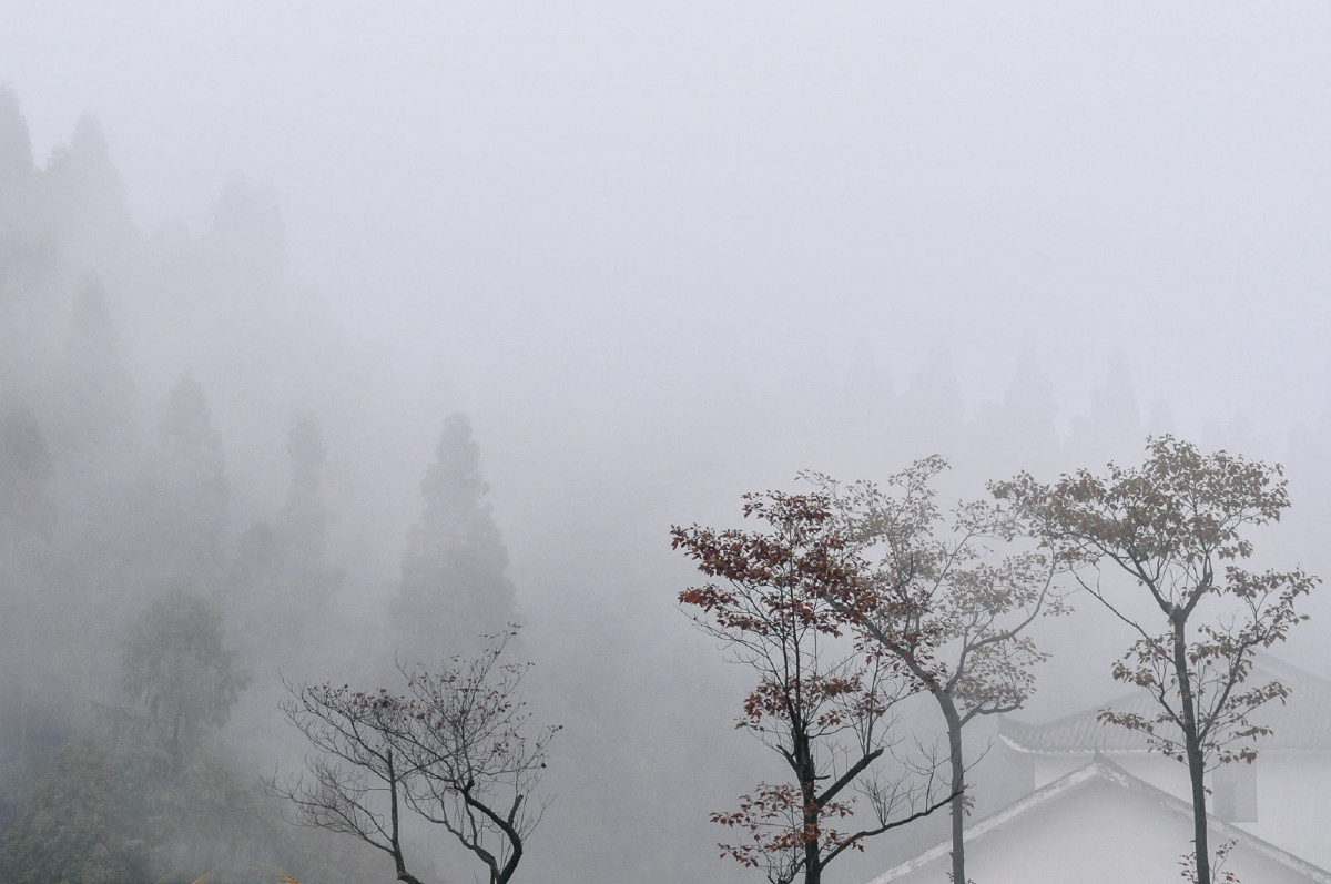 保险资讯_第19页_理财_同花顺财经