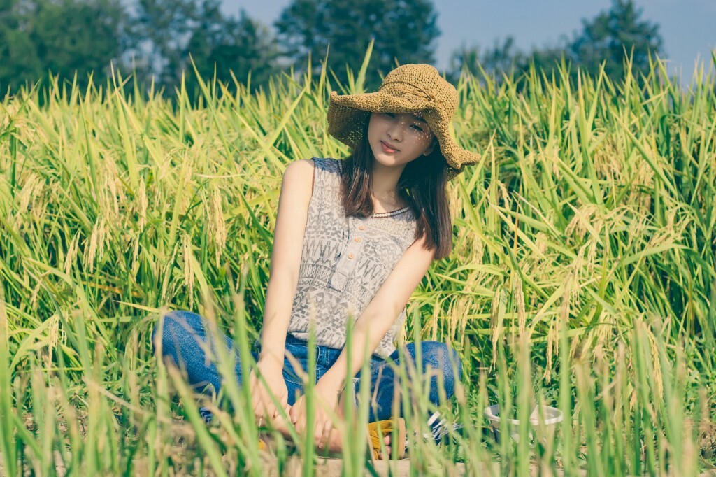 小森林夏秋篇