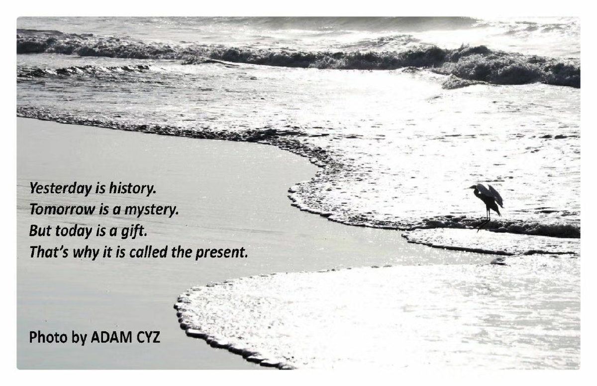 historytomorrowisamysterybuttodayisagiftthatswhyitscalledthe
