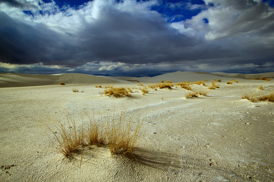 sands national monument 2 br /></p></a> 很惊讶的是,沙漠里偶尔还下雨,眼前