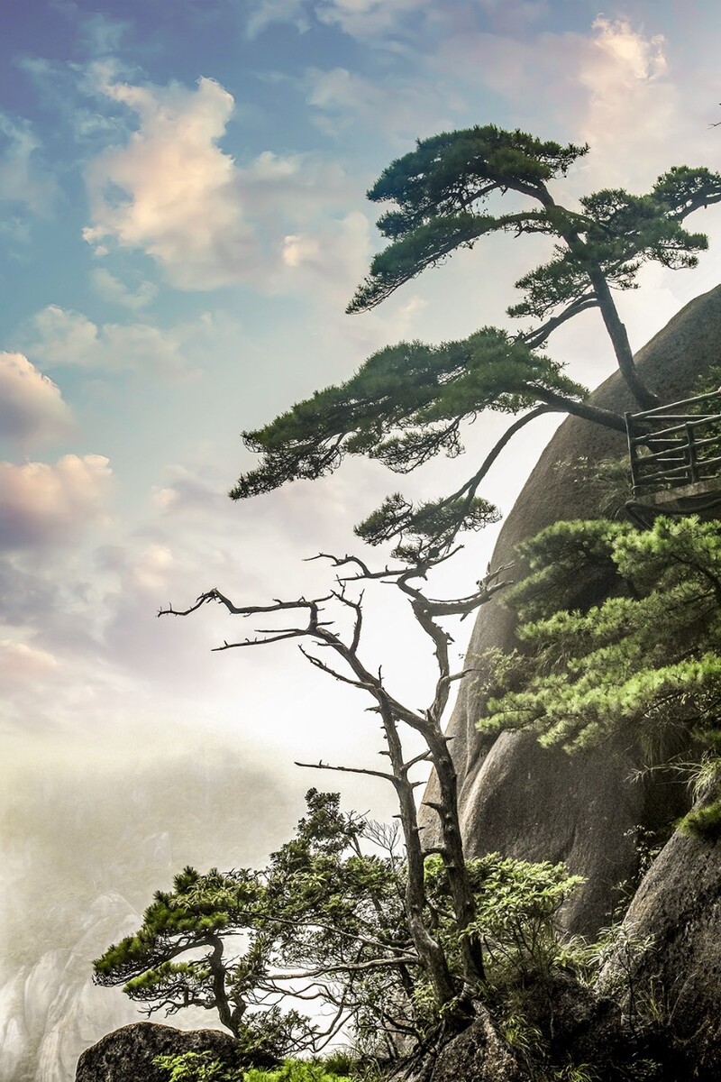 庐山参松