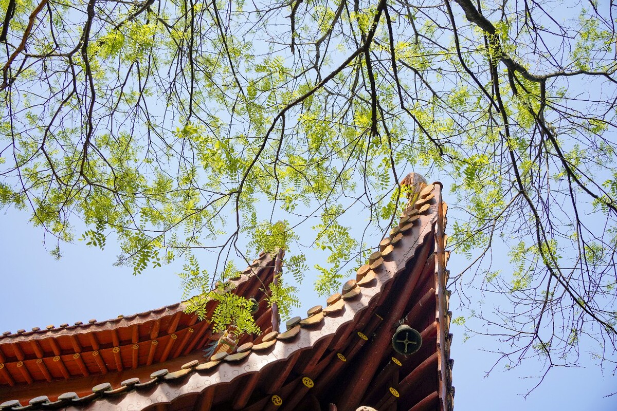 寺庙的一角
