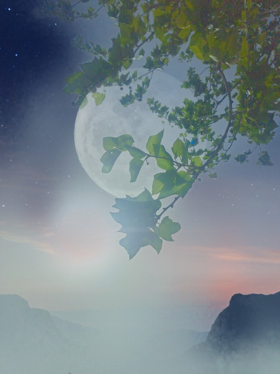 四月份的超级月亮你看了吗错过了,就来看看这个明月星稀的夜晚吧.
