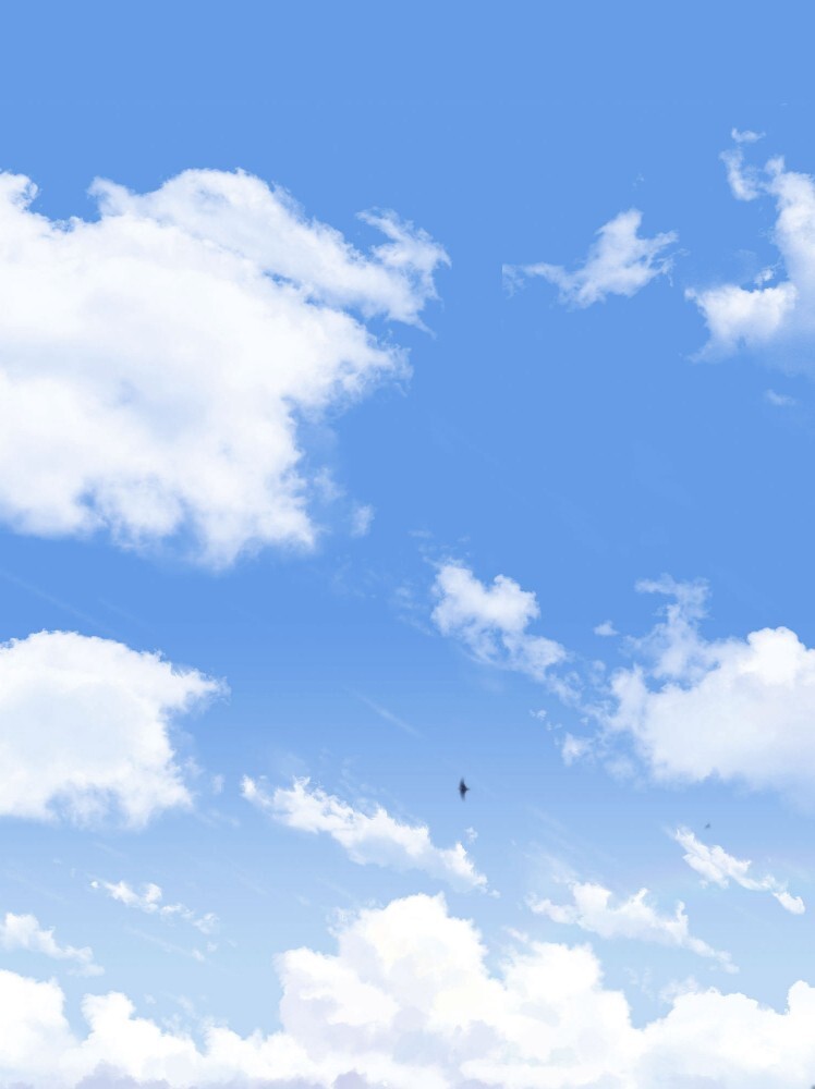 天空小鸟