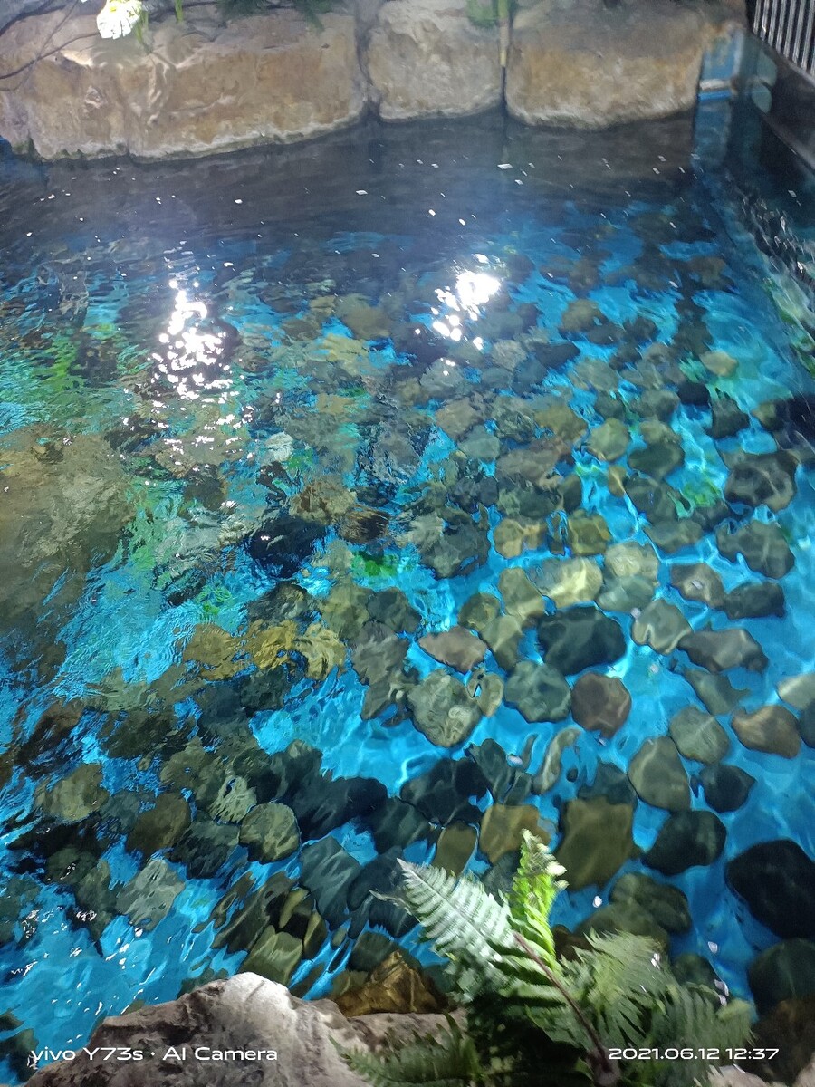 兰州极地海洋世界