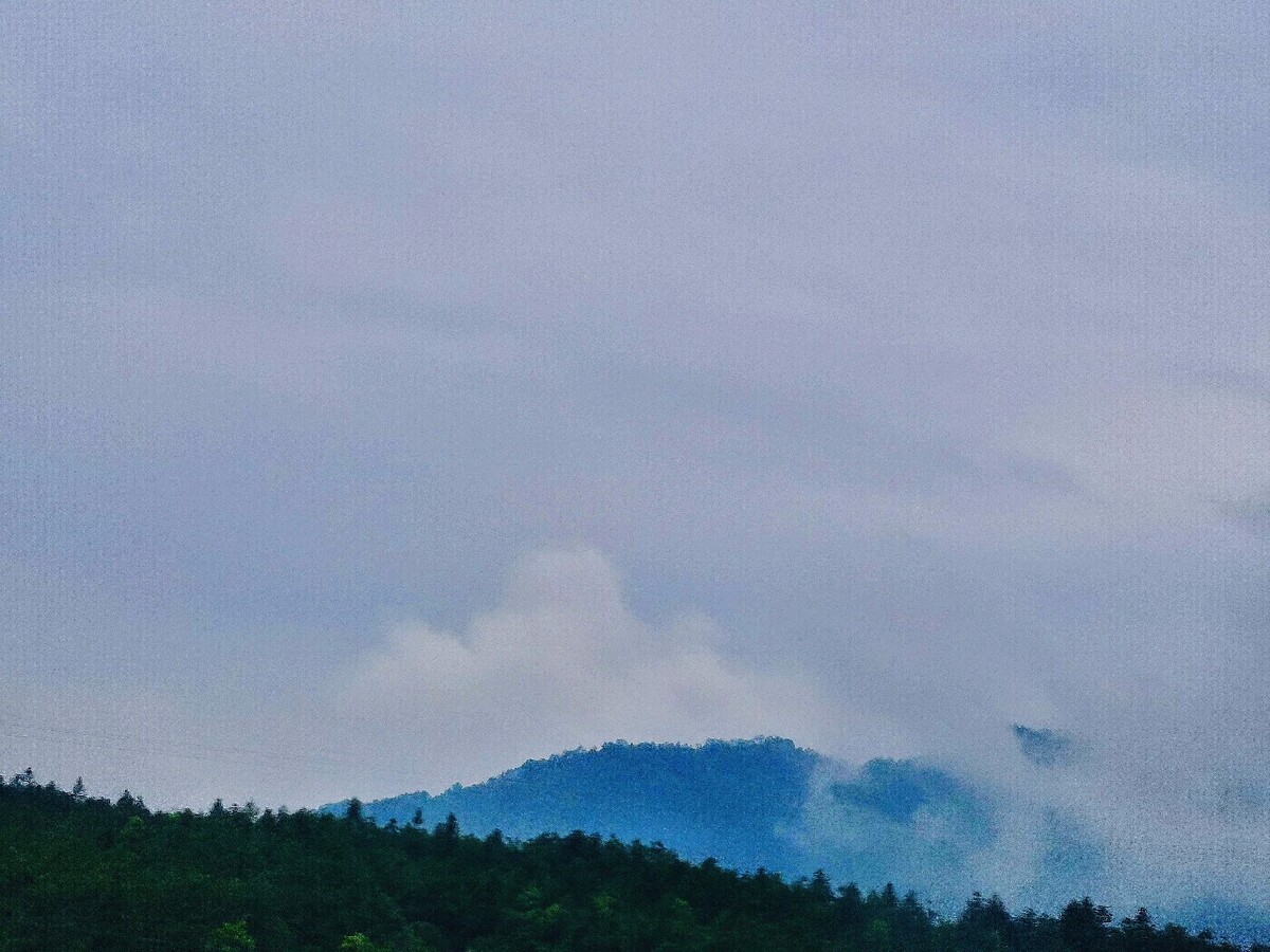 我见青山多妩媚