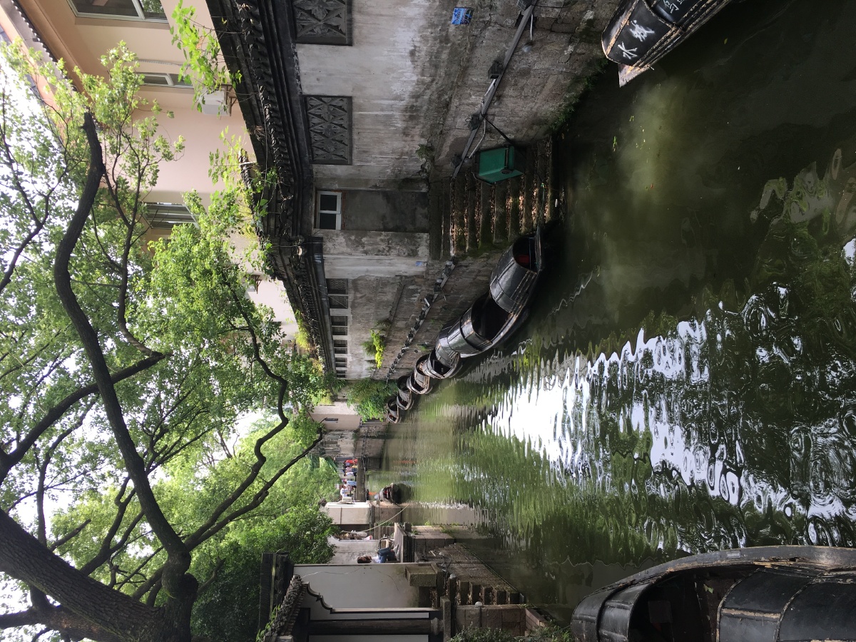 小桥流水人家乌篷船树荫倒影