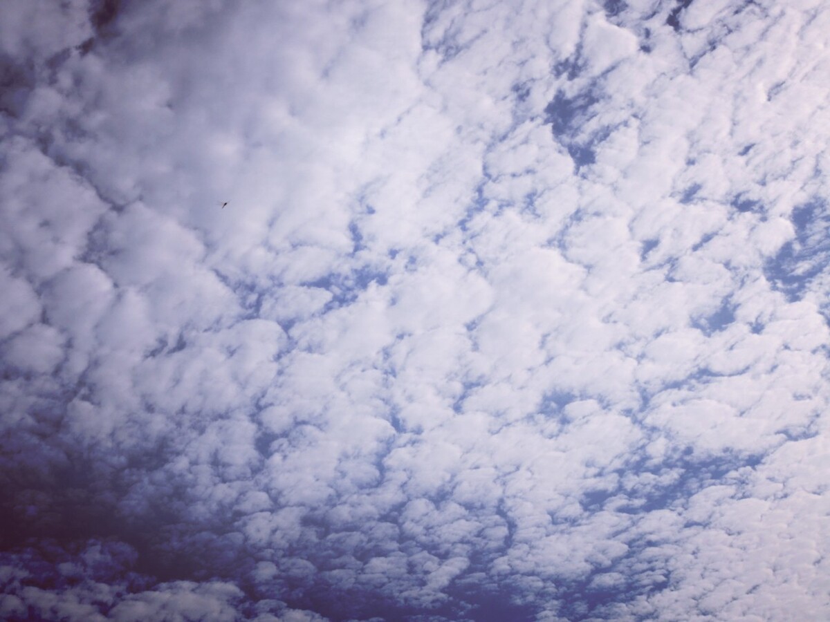 天上的云朵b001cloudsinthesky天上的云朵快乐地飘飘悠悠thecloudsin