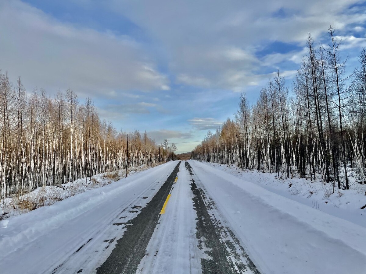 漠河的雪景