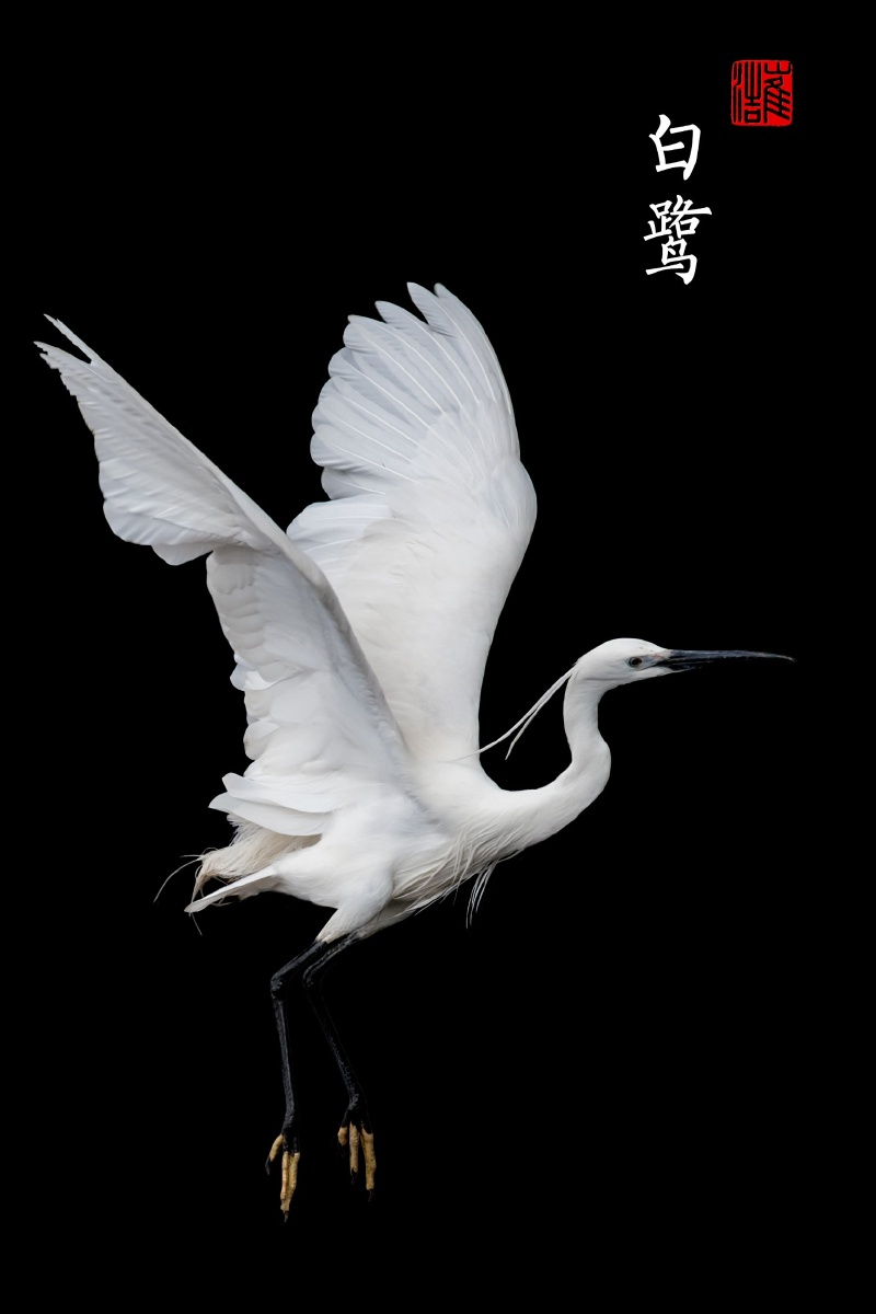 手机黑色壁纸高清纯黑 竖屏