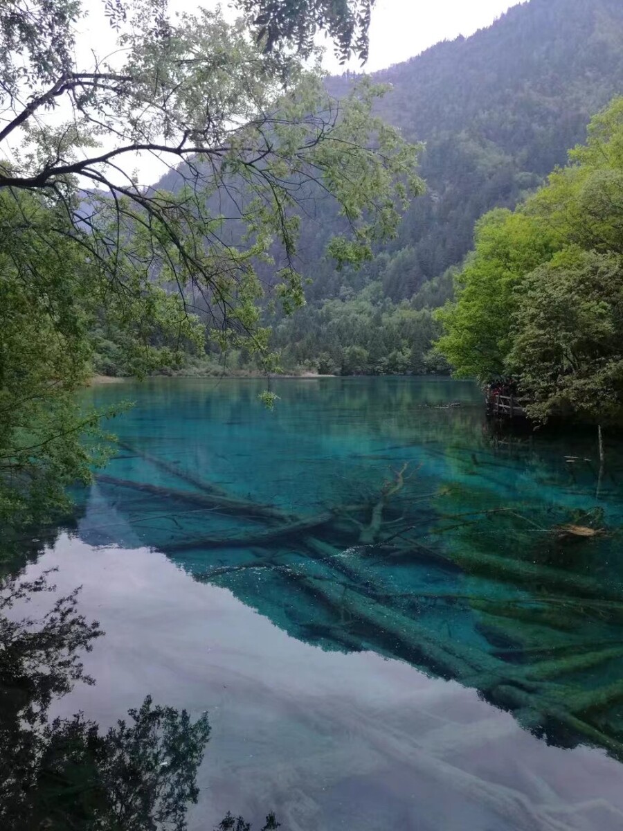 կ