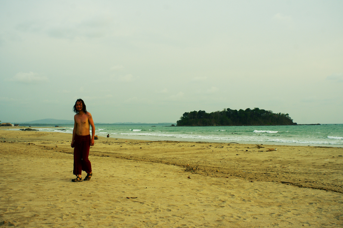 寒鹰在维桑海滩上<br />