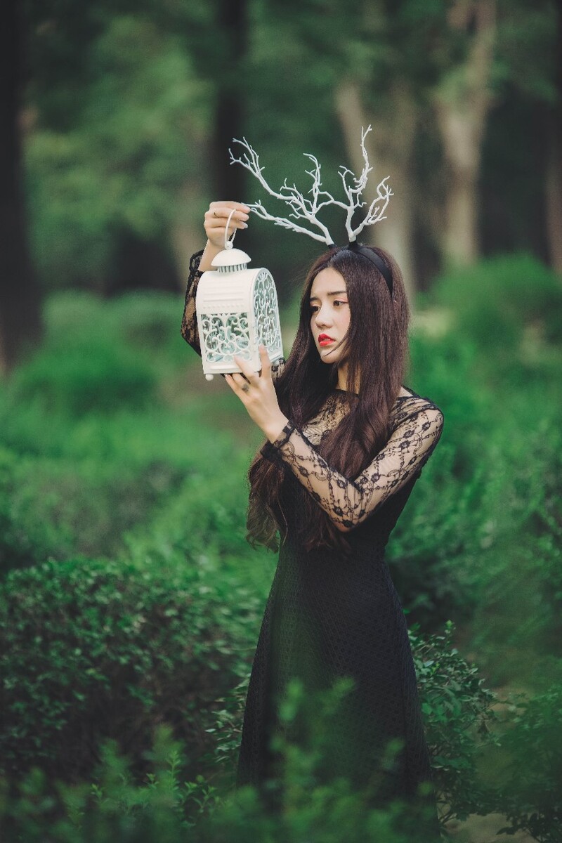 林间