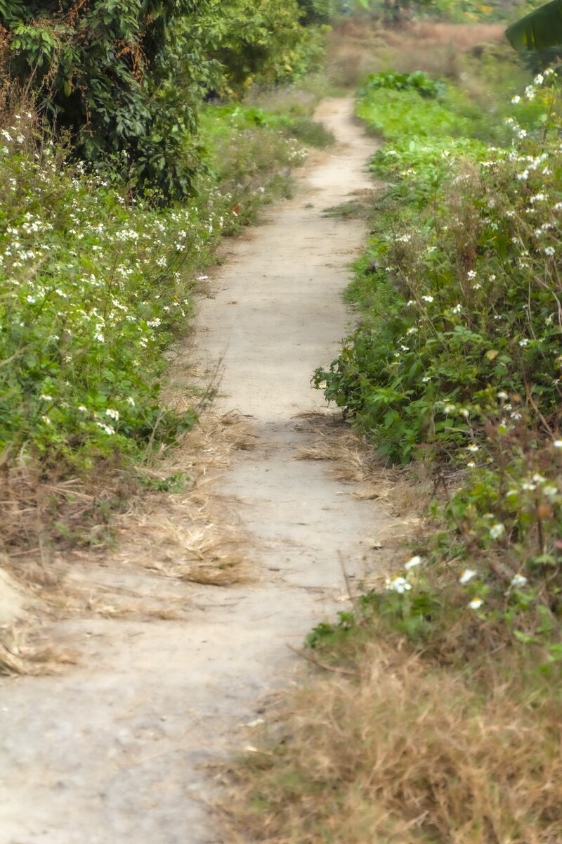 走在乡间的小路上