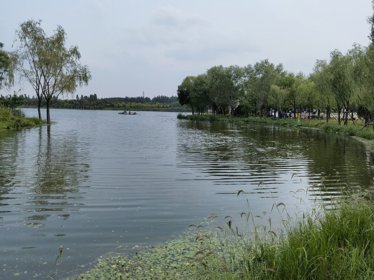 东郊湿地公园