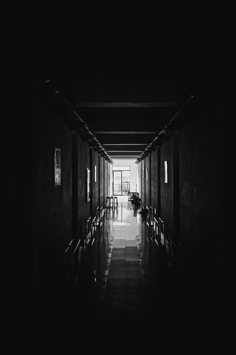 向往光明