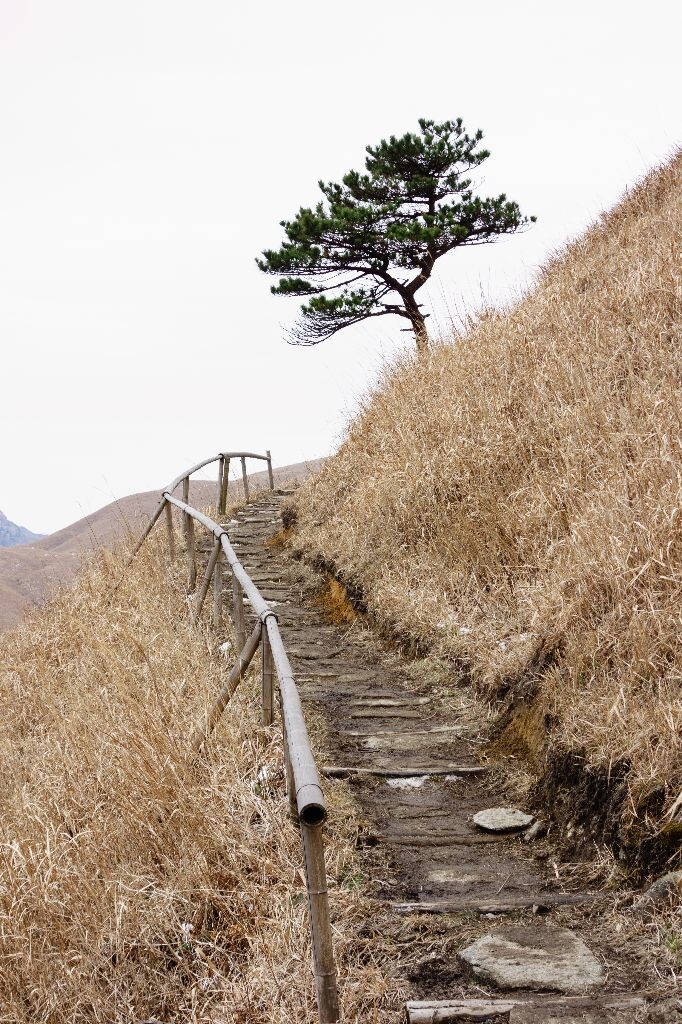绝望坡-吊马庄,栈道 br>