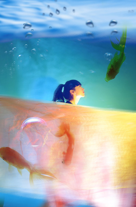 梦见自己变成鱼,探索梦境深处的奥秘与自我成长之旅 梦见自己变成鱼,探索梦境深处的奥秘与自我成长之旅