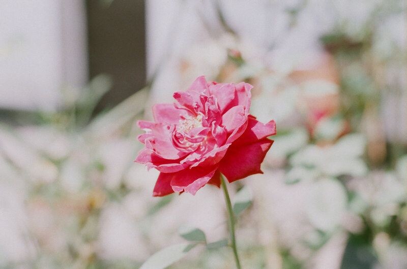 һ,ʱ--nikon fm2