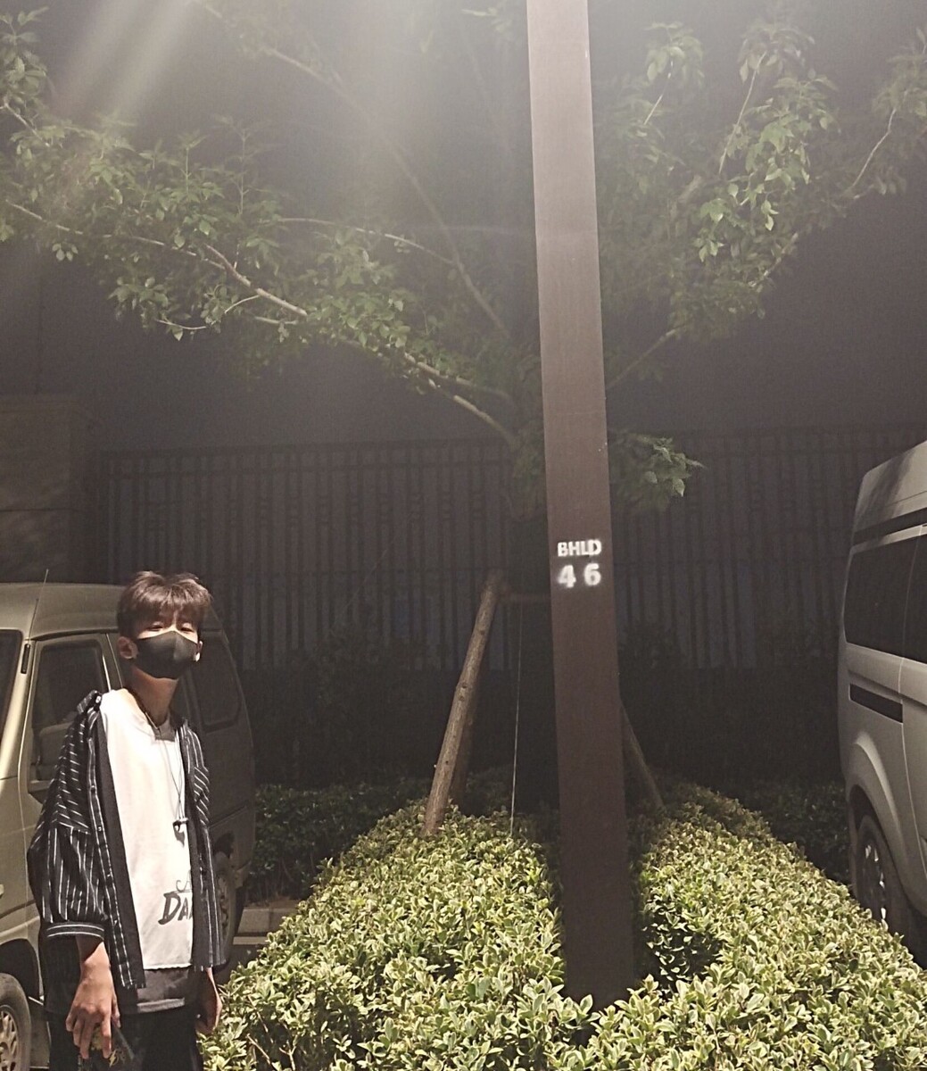 楚楚北鼻周 - 图虫