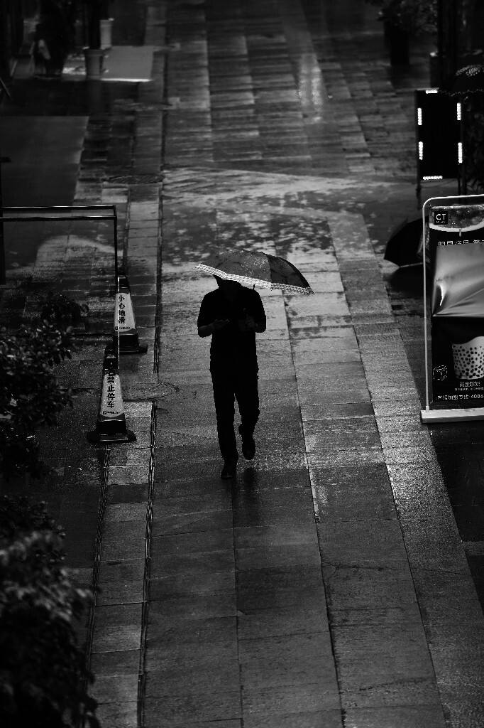 秋雨独行