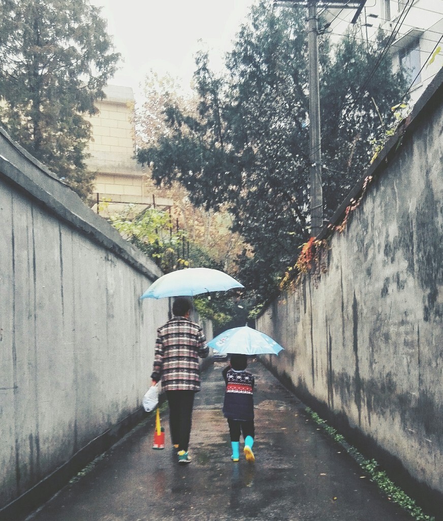 风雨中,有你伴,便觉心安.