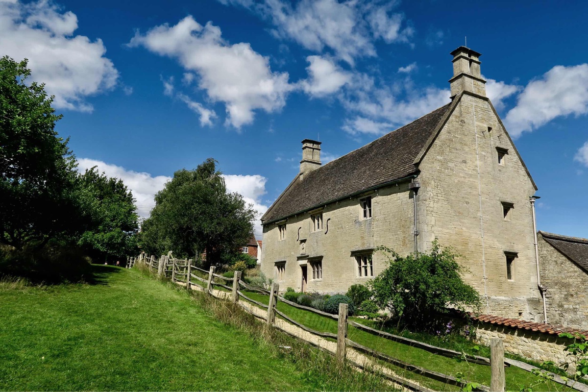 牛顿苹果树图片