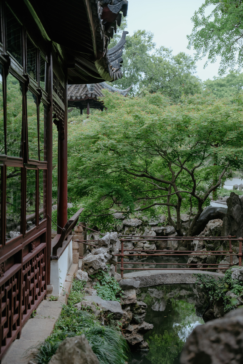 初夏的苏州园林,盛夏苏州园林,苏州园林夏季图片_大山谷图库