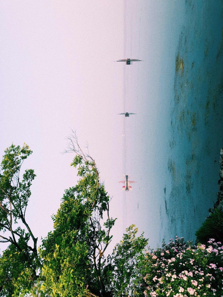 ̫洬