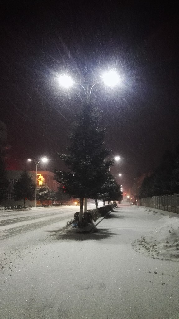风雪夜归人