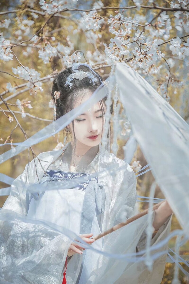 会者定离，一期一祈[樱]