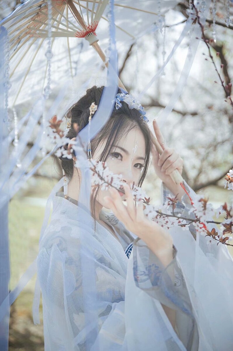 会者定离，一期一祈[樱]
