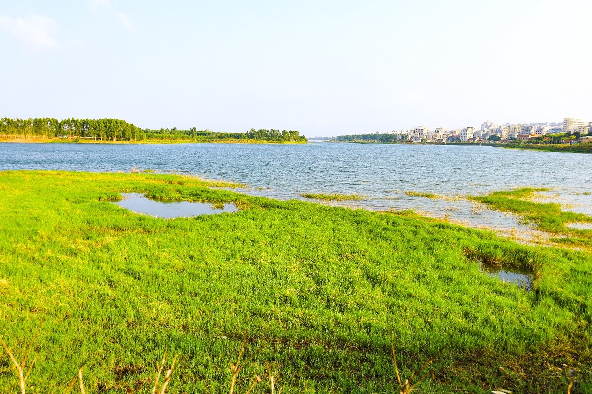湖边草地