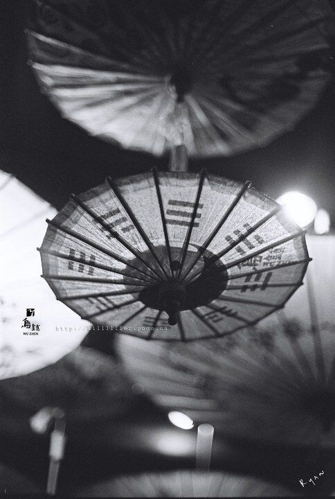 wz_Kodak Trix 400_011<br />