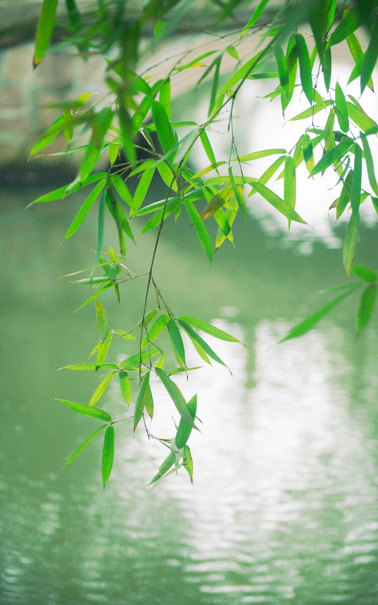 春之绿