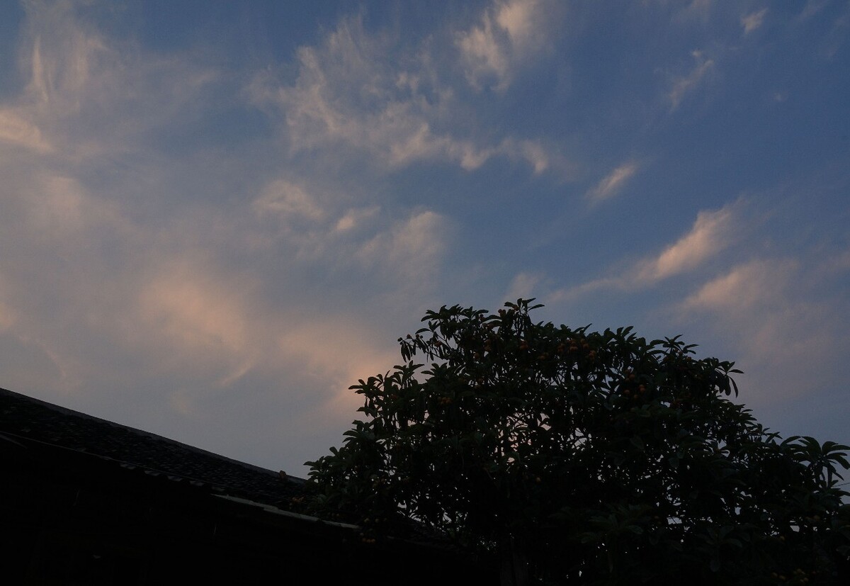 乡村的傍晚