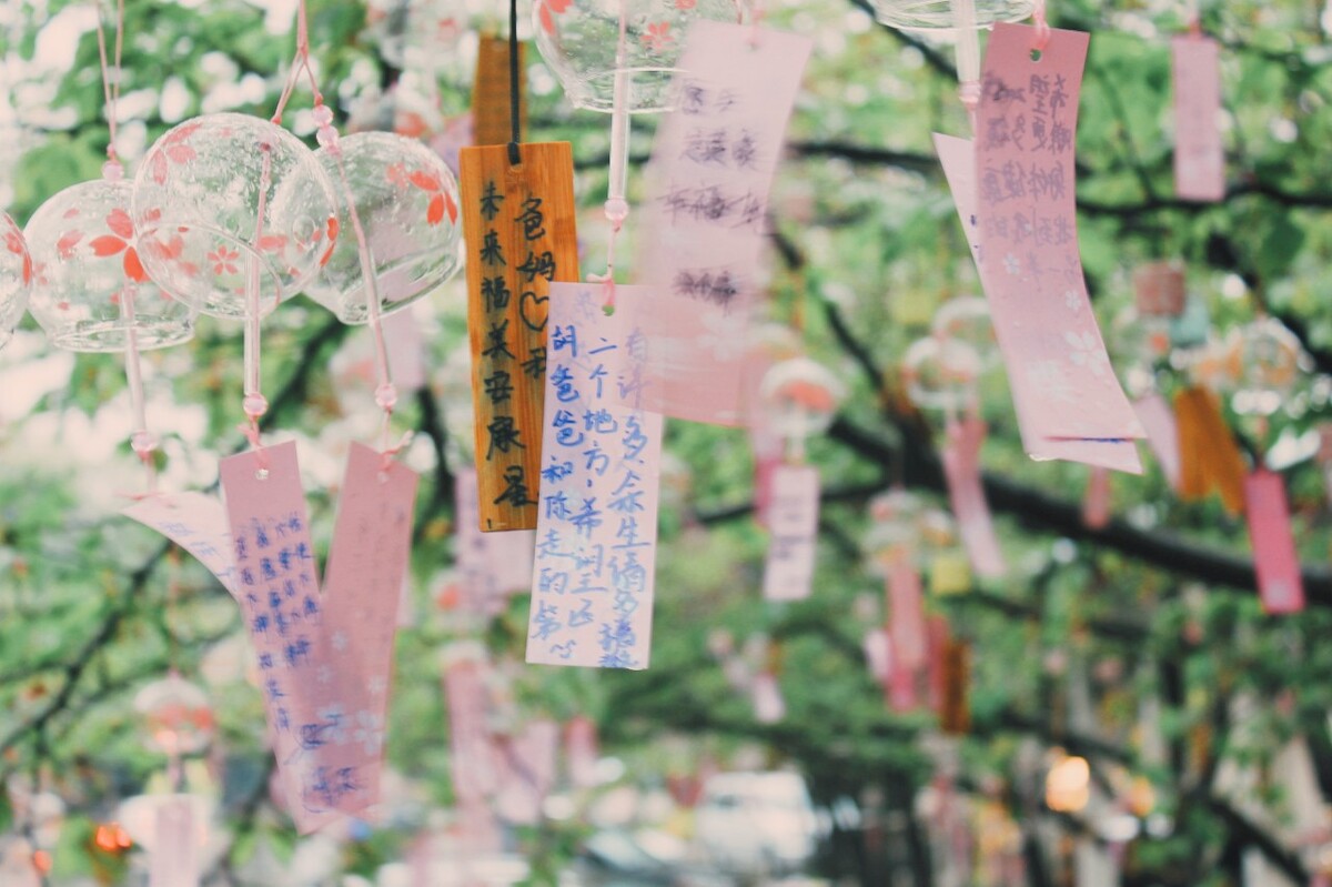 鼋头渚樱花风铃