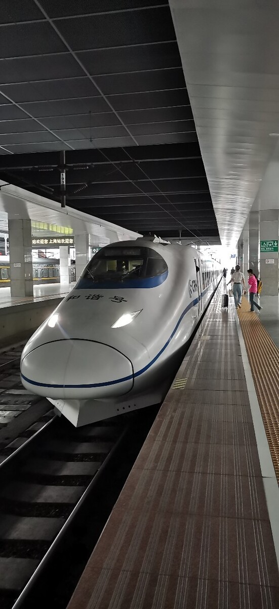 高铁上海站复兴号和谐号