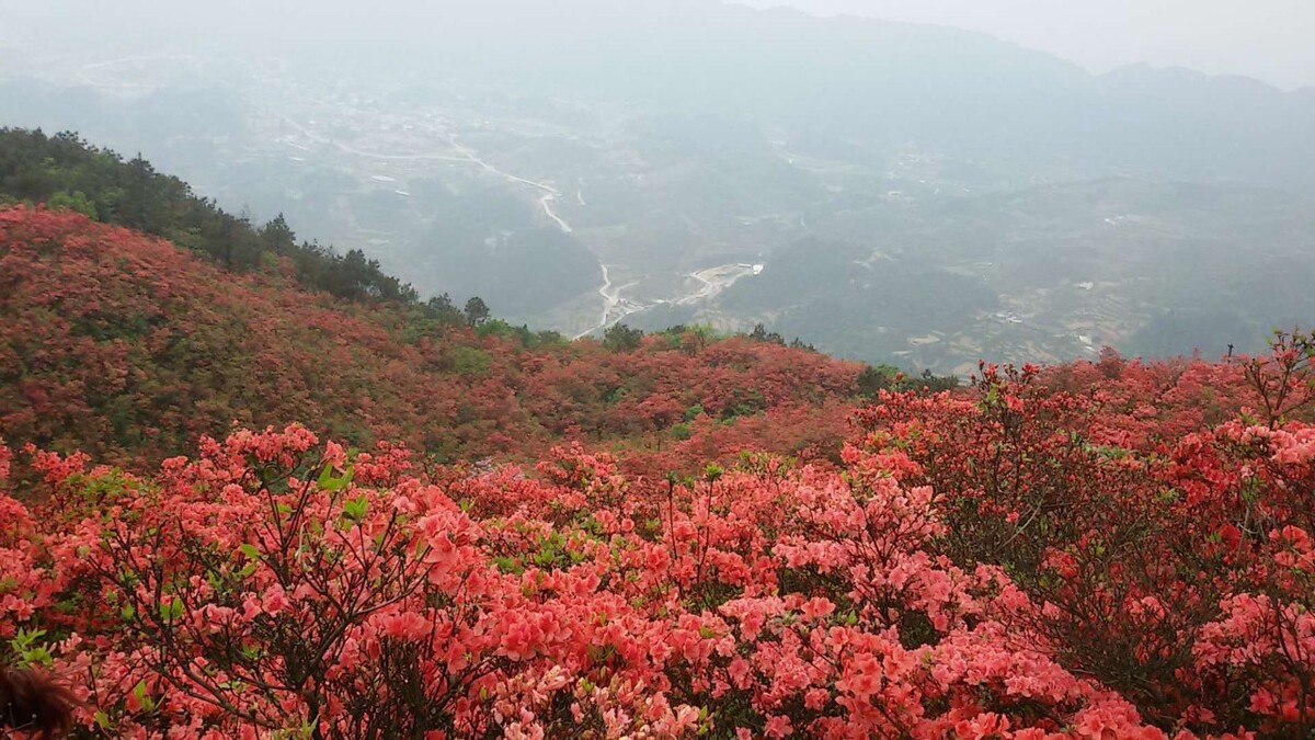 多彩贵州欢迎你,(丹寨龙泉山)