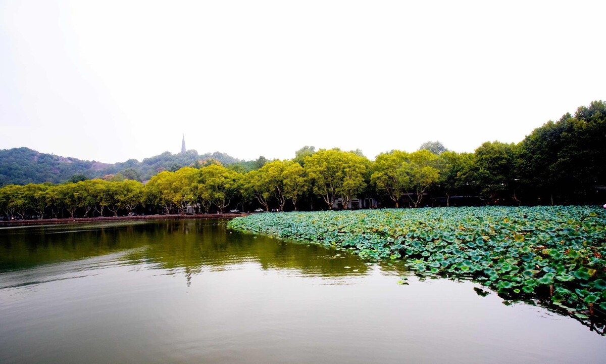 西湖 袁子维 图虫网 优质摄影师交流社区