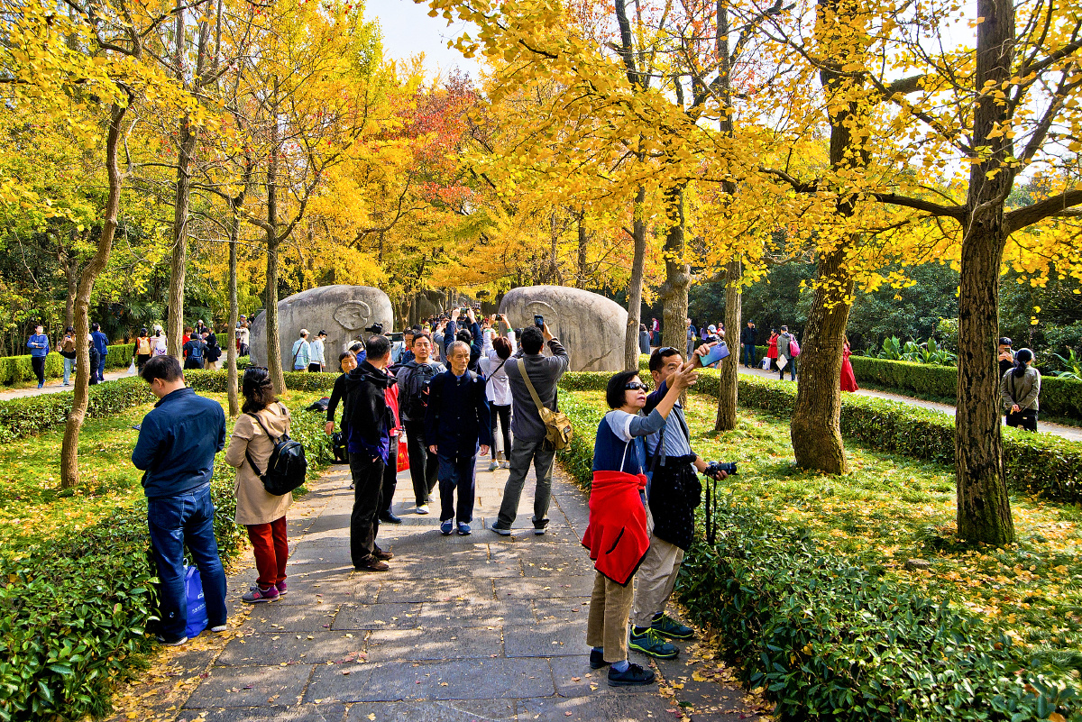 美丽南京之一百四十四 钟山风景区秋色