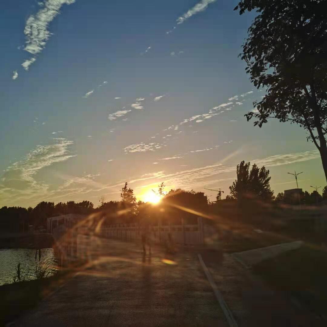 早上的风景