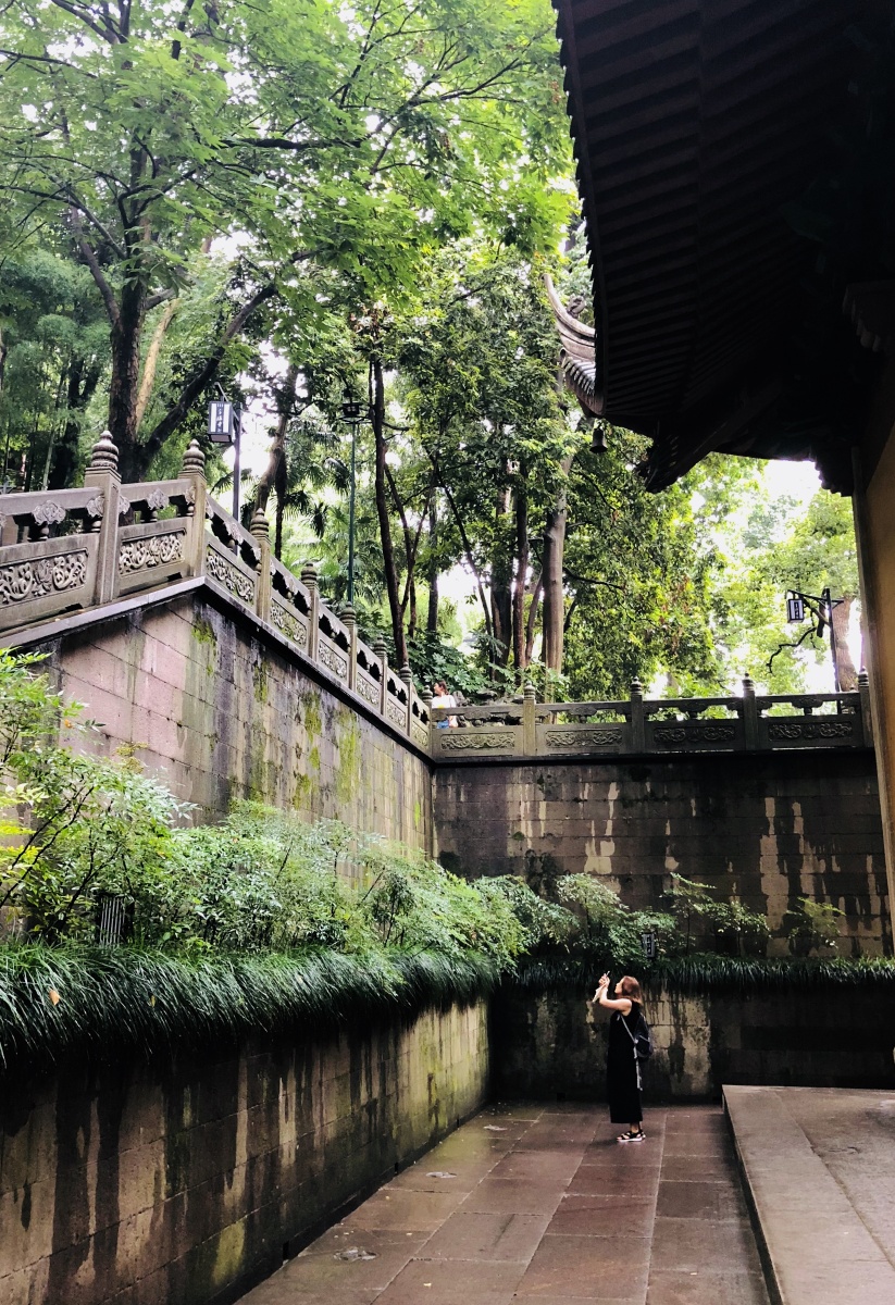 雨纷纷旧故里草木深