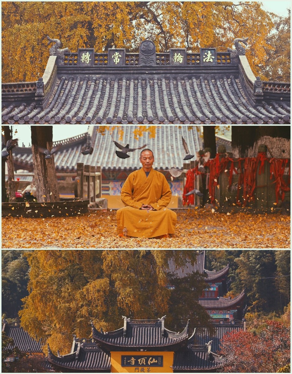 湖州仙顶寺