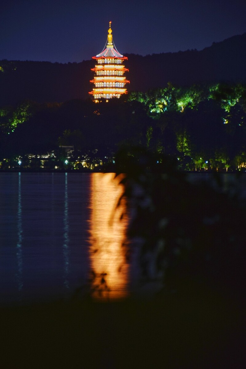 西湖夜色叶鱼摄