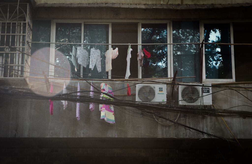 瓷都景德镇街拍拿的花美女图片大全手图片
