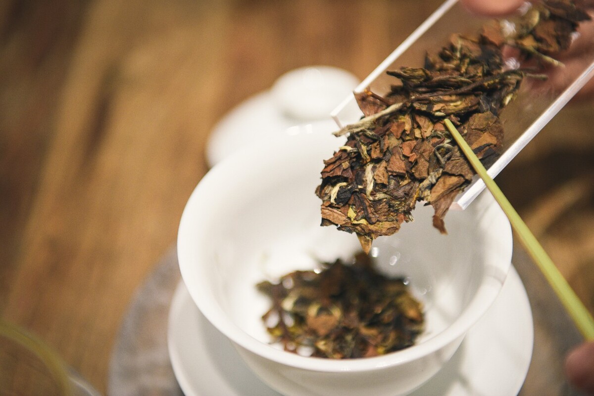 泡一杯老白茶给父亲