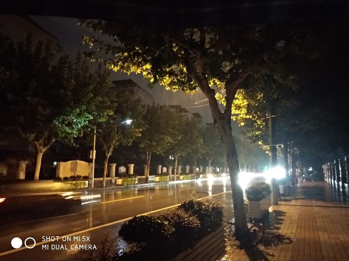 雨中漫步